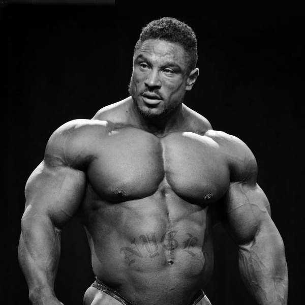 12 Weeks Bulking Cycle