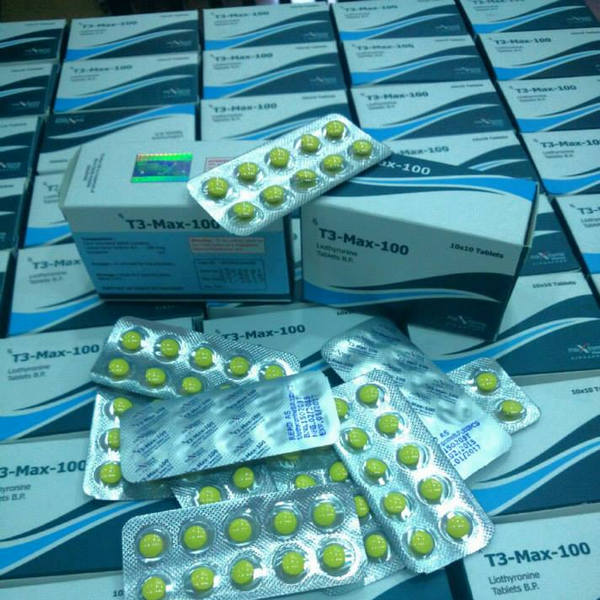 T3-Max-100