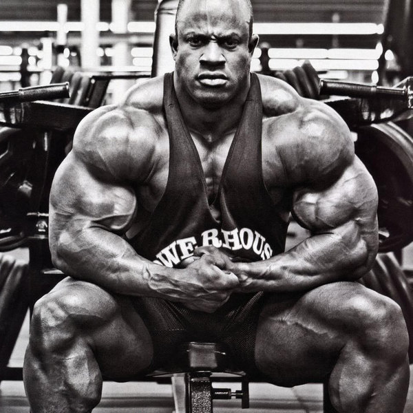 14 Weeks Lean Muscles Steroid Cycle