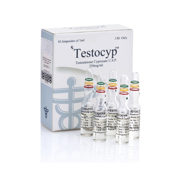 Testocyp  (Testosterone Cypionate 250 mg/amp. by Alpha Pharma)
