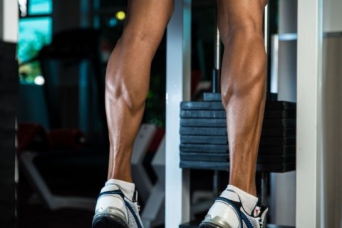 Leg training maximum stimulation in a short period of time