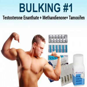Bulking Steroid Cycles